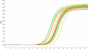 Relative quantification of real-time PCR