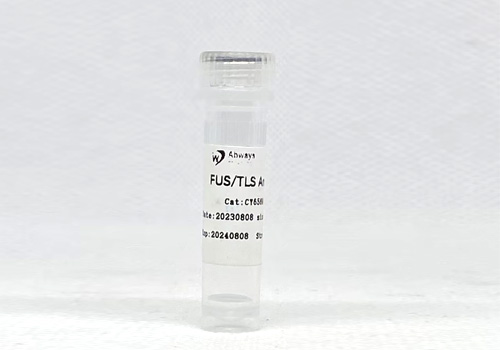 FUS / TLS Antibody