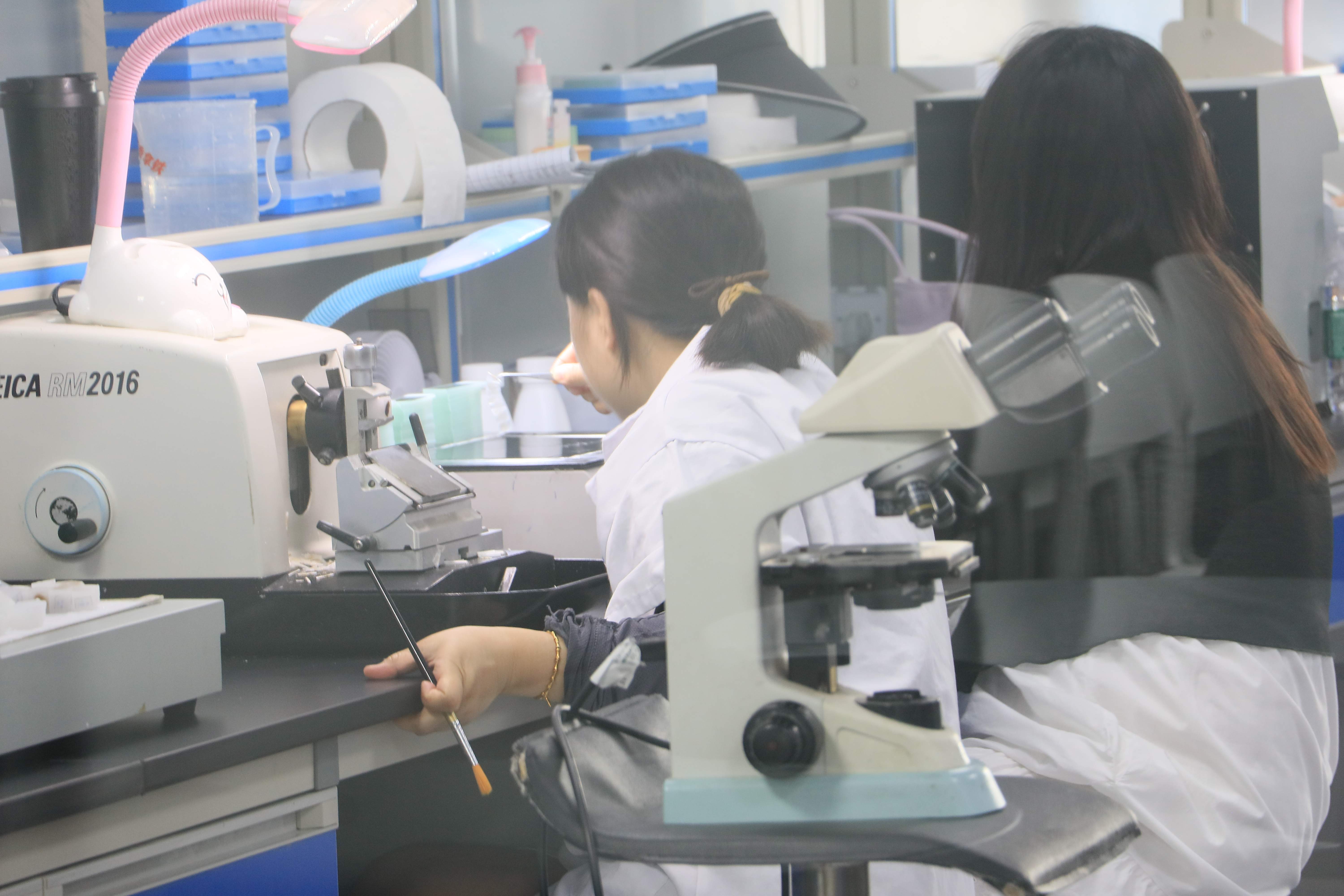 对石蜡切片方法的研究与应用技术