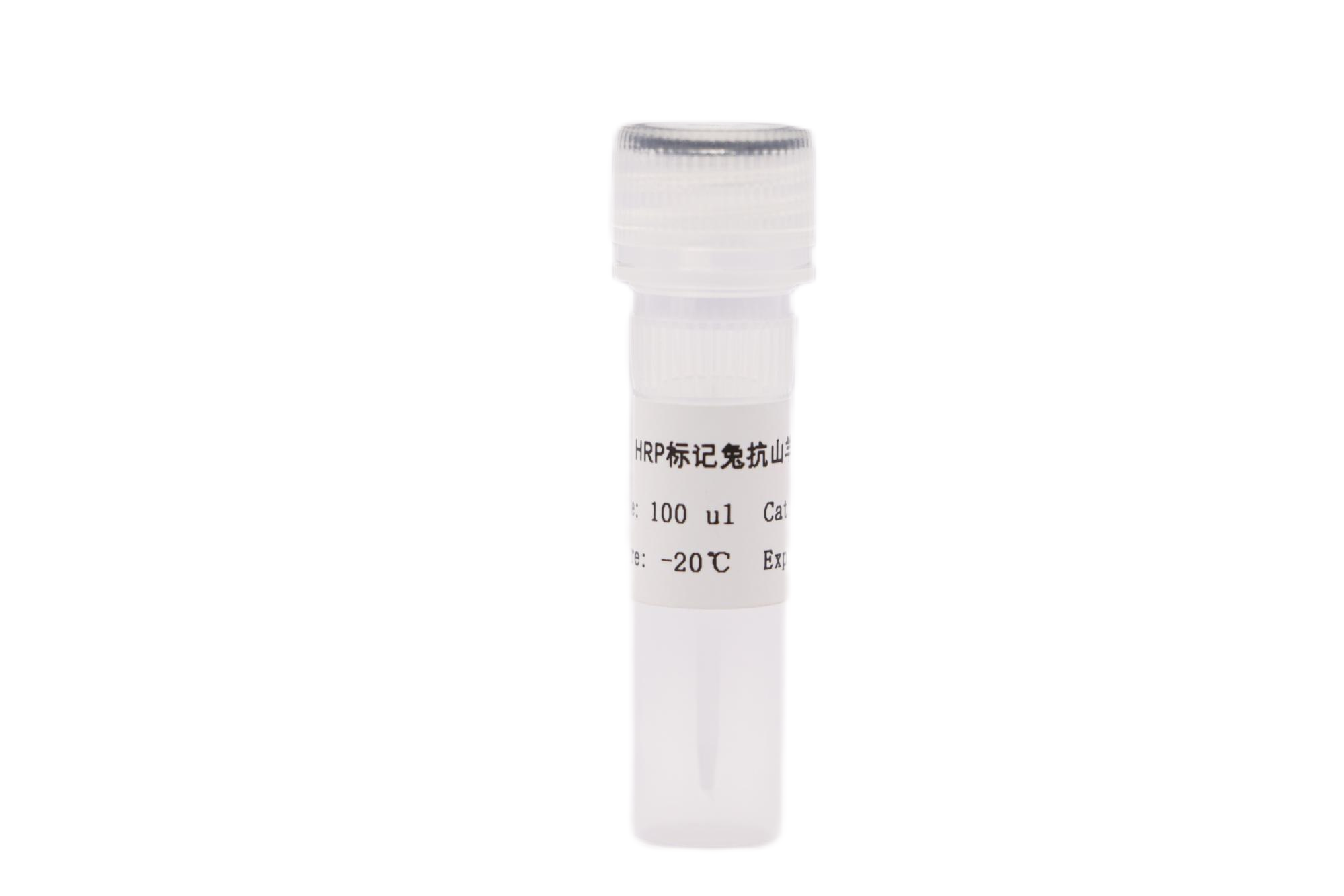 HRP标记兔抗山羊IgG