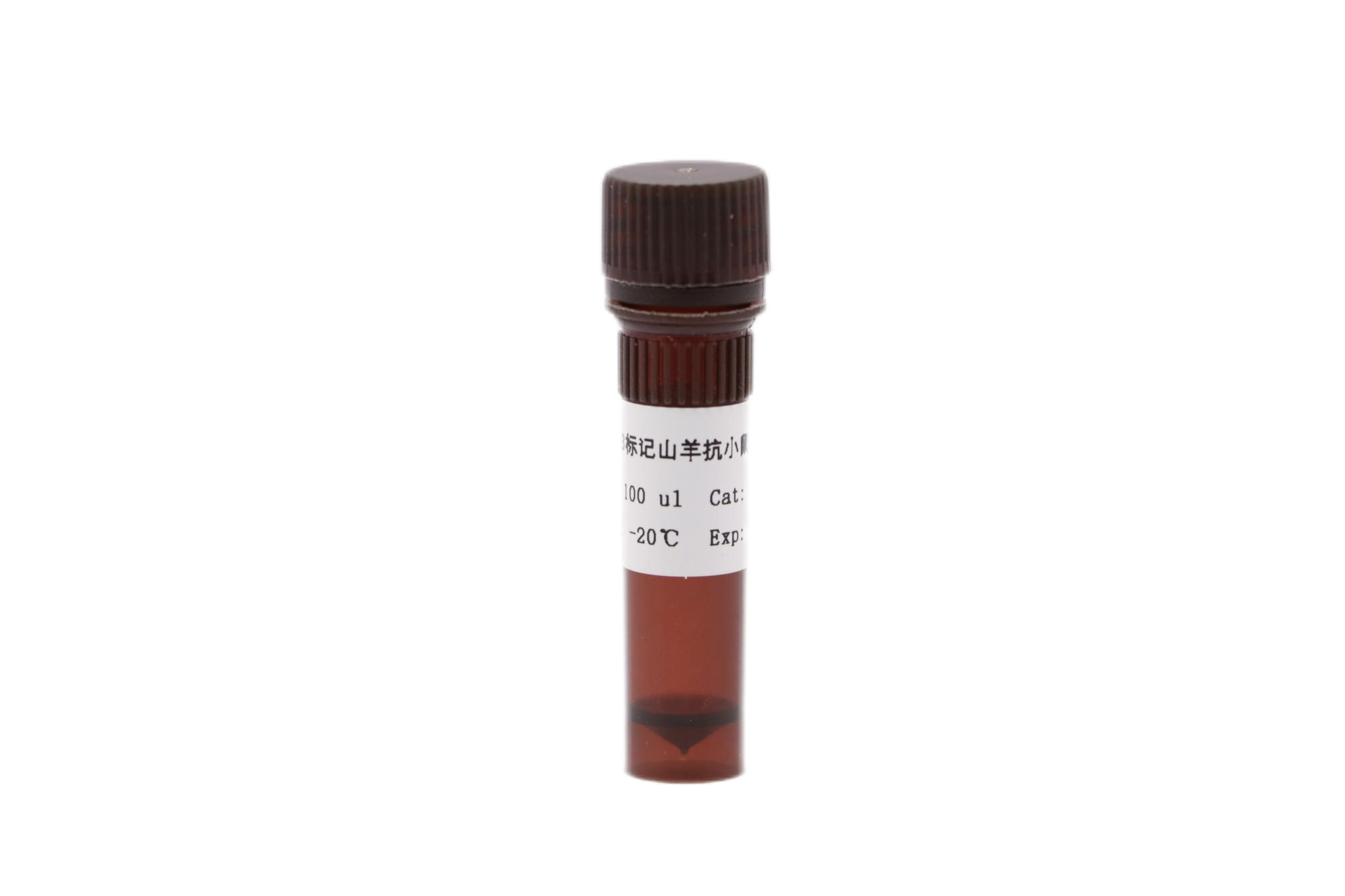 Cy3标记山羊抗小鼠IgG