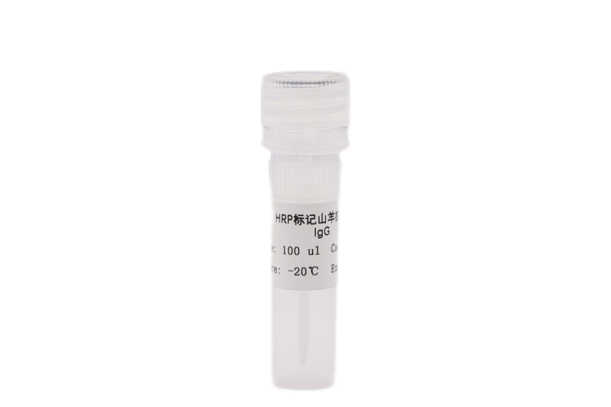 HRP标记山羊抗小鼠IgG