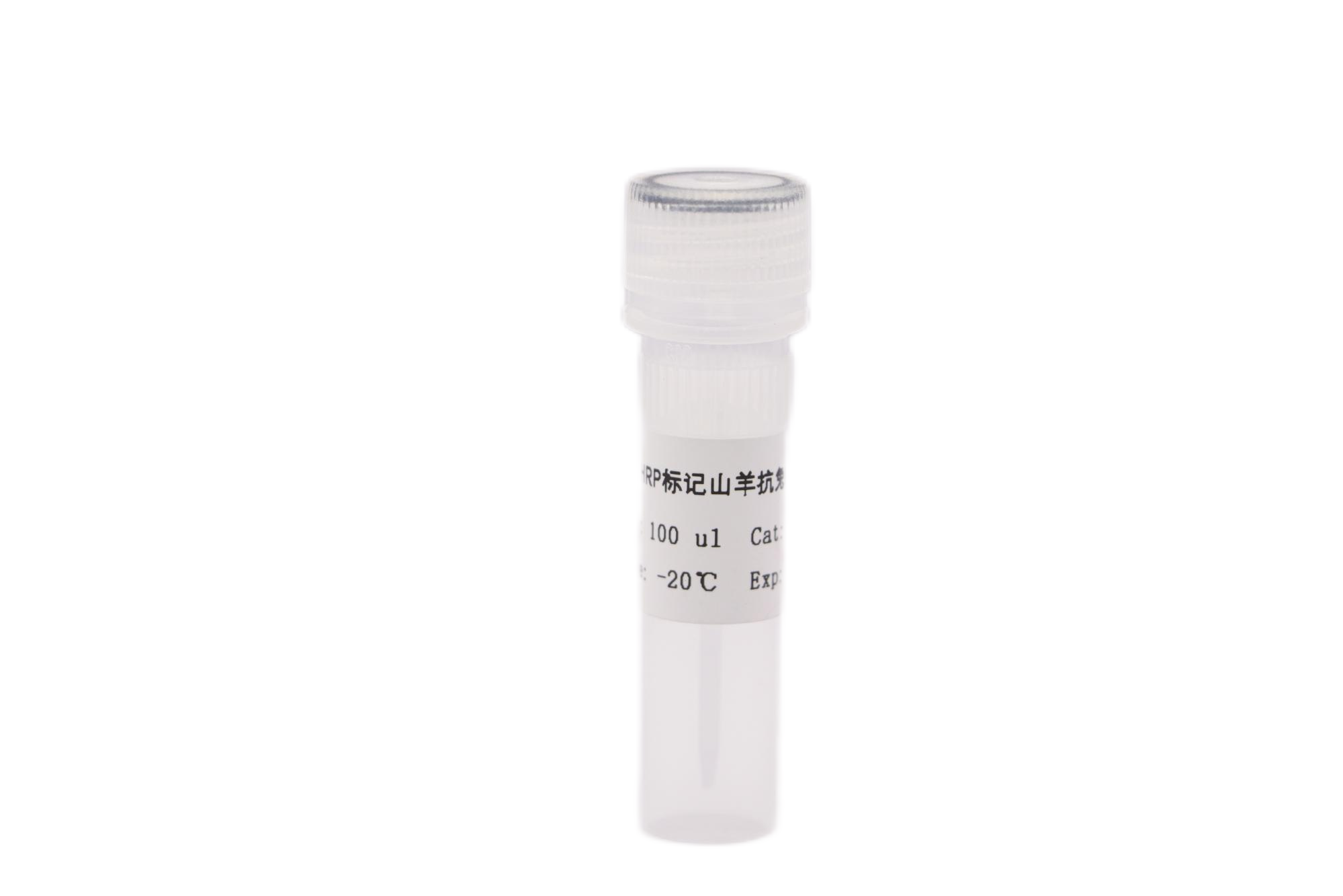 HRP标记山羊抗兔IgG
