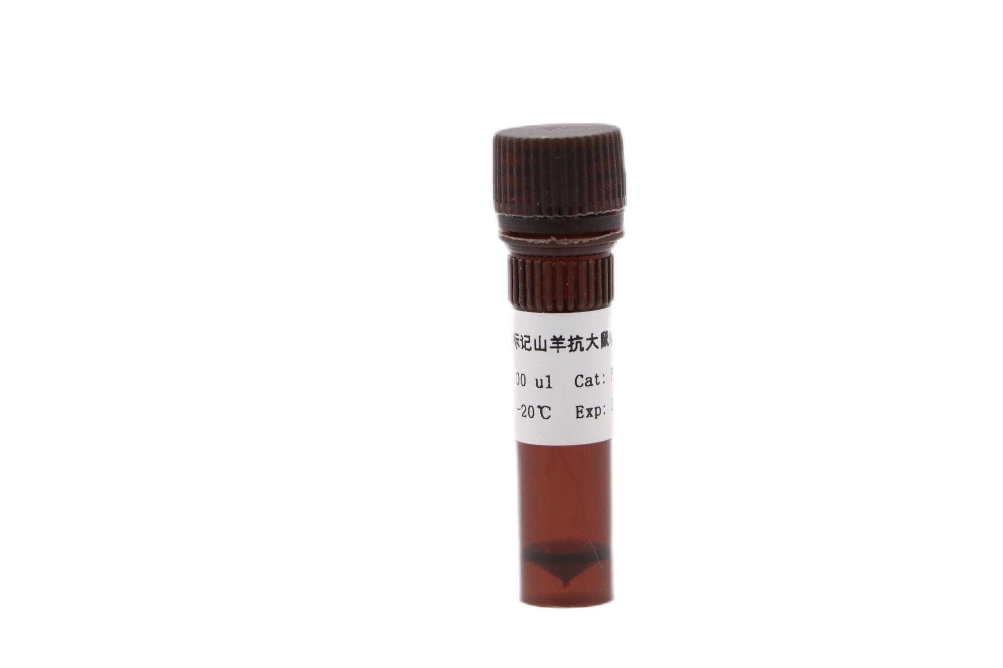 Cy3标记山羊抗大鼠IgG