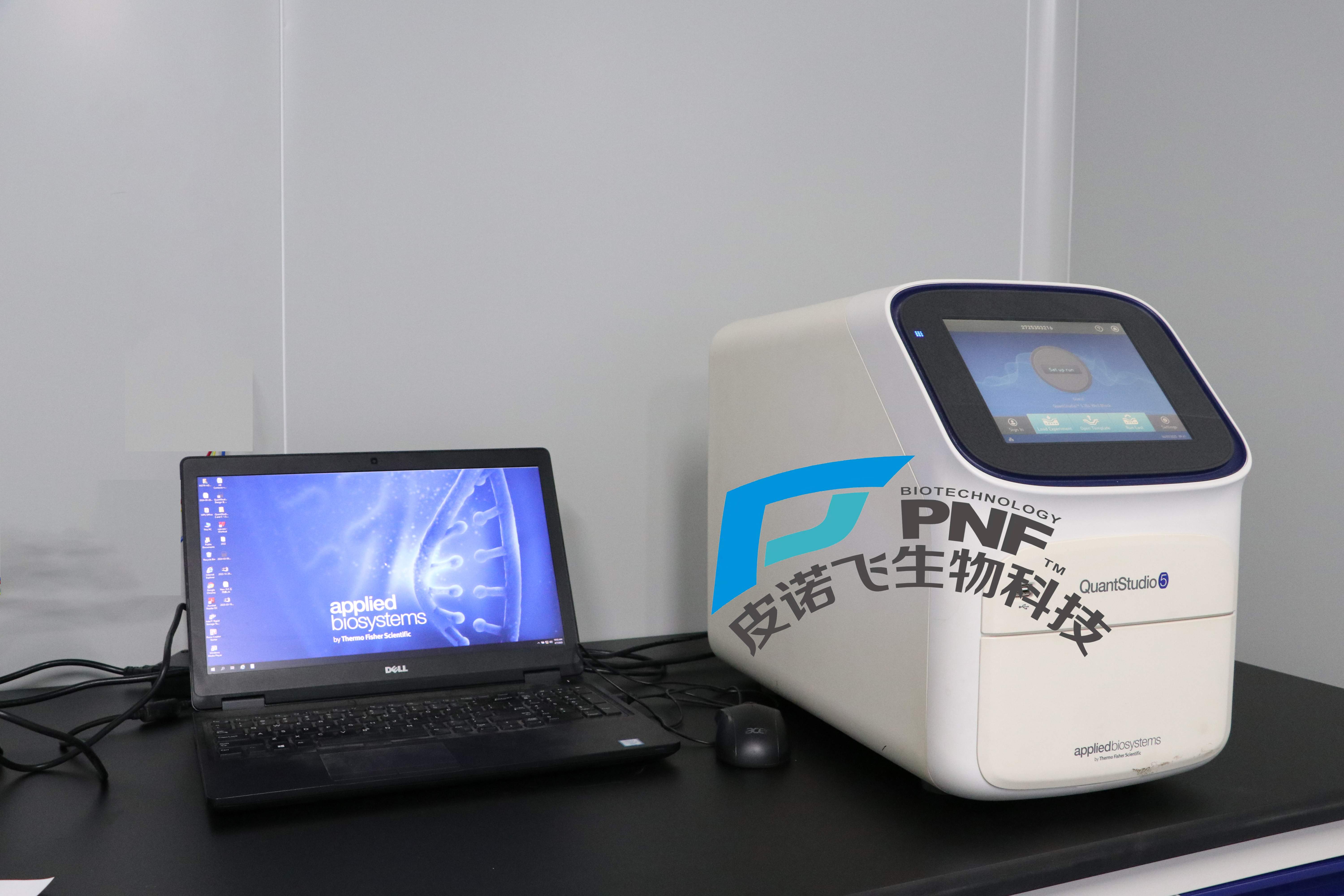 当PCR技术走进高中课堂：从博士殿堂到青春实验室的跨越