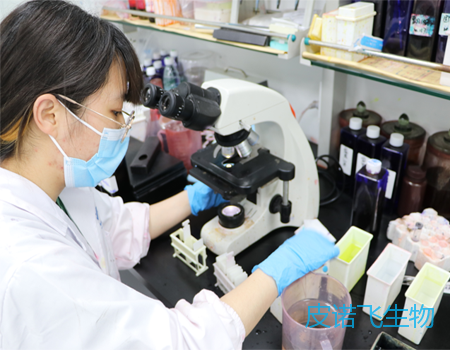 病理实验外包价格一般多少钱？2025年最新报价策略+省钱指南