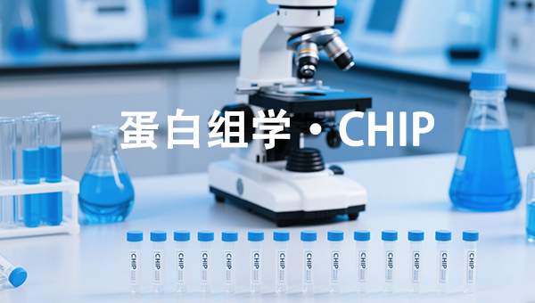 CHIP引物