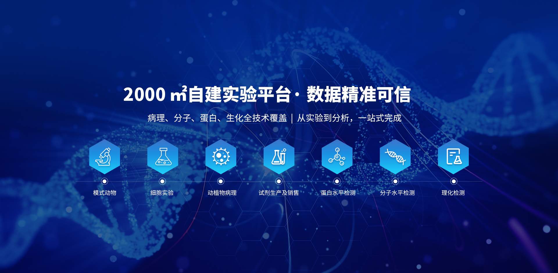 武汉市皮诺飞生物科技有限公司