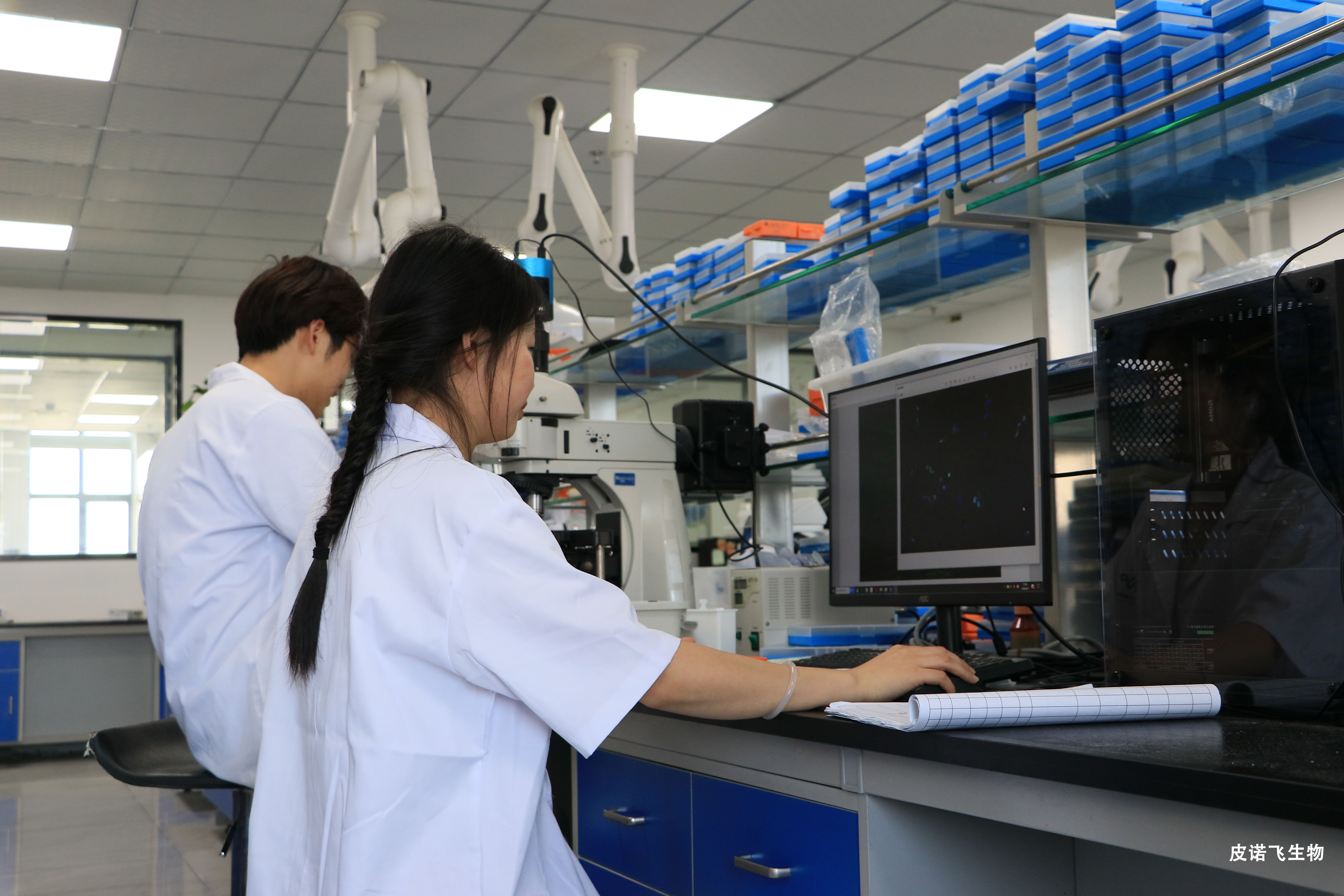 病理实验外包：连接细胞机制与组织形态的关键桥梁