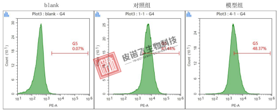 线粒体膜电位检测（TMRE 法）｜实验 操作全指南