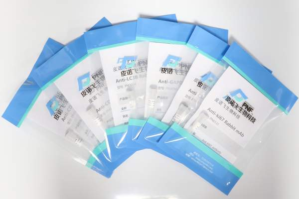 Anti-SARS-CoV-2 RBD Antibody (1A12)