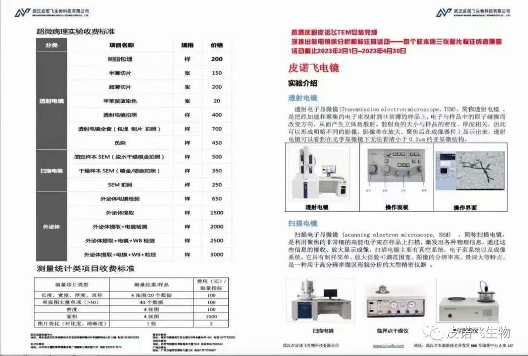 透射电镜活动