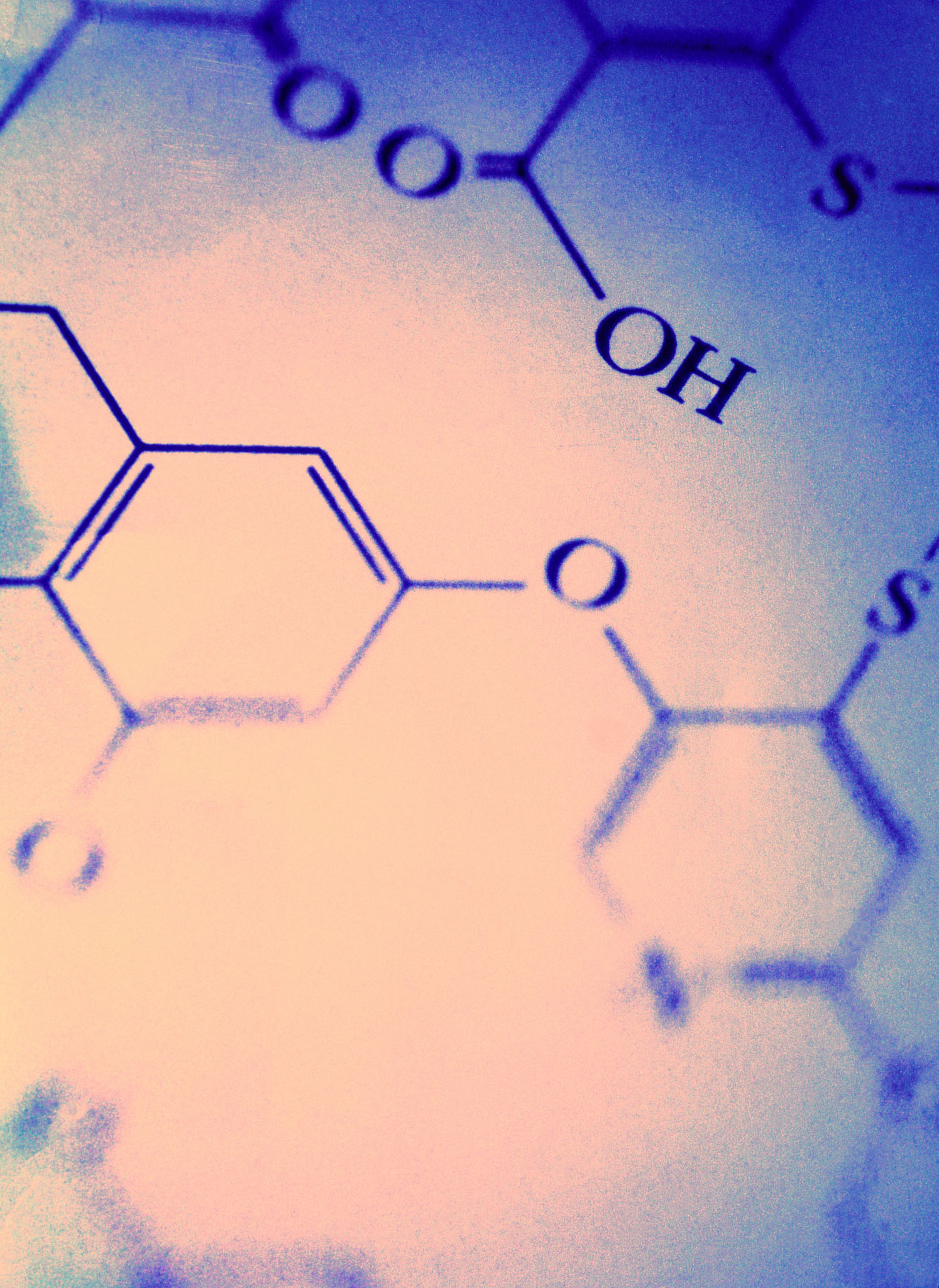 双荧光素酶步骤：详细解析使用技巧