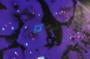 企业微信截图_17447687488587副本.png