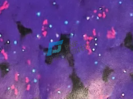 企业微信截图_17447687的带点756264副本.png