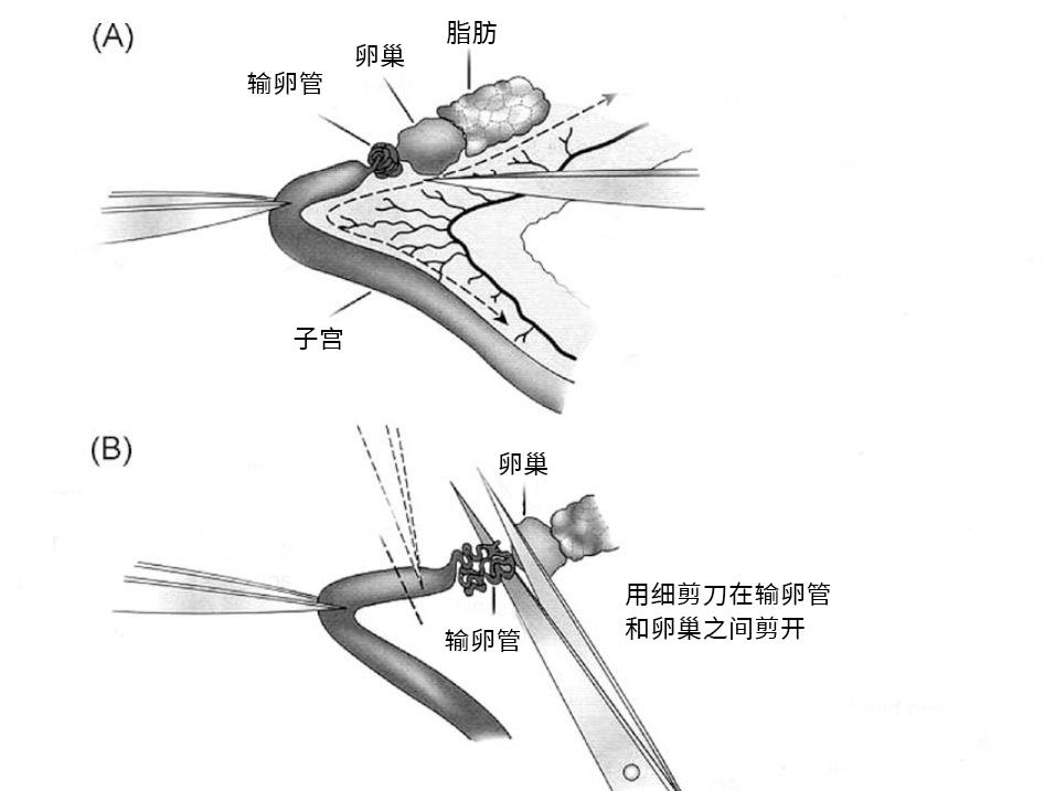 企业微信截图_17454602658802(1).png