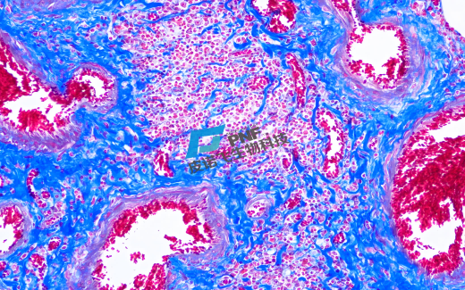 1757487640515400.png 1757487640515400.png