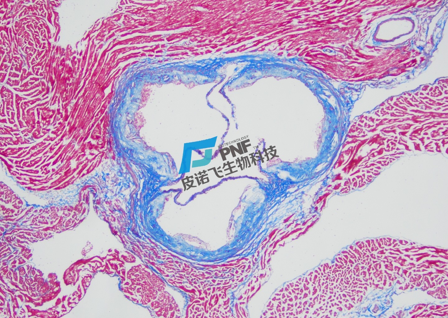 1757487640849605.jpg 1757487640849605.jpg