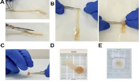 1758503788219942.png image.png