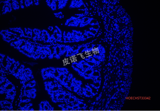 1758510321108894.png image.png