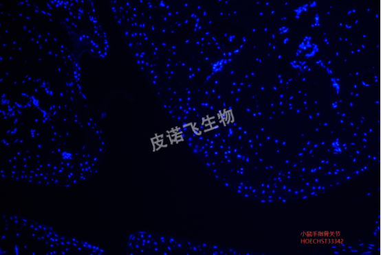 1758510325985185.png image.png