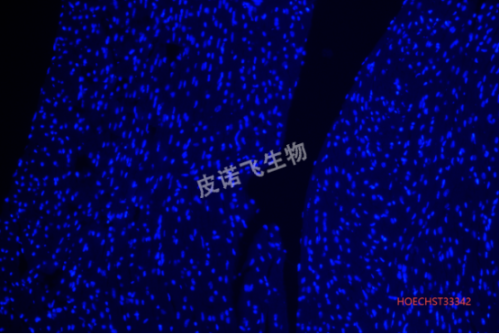 1758510329565181.png image.png