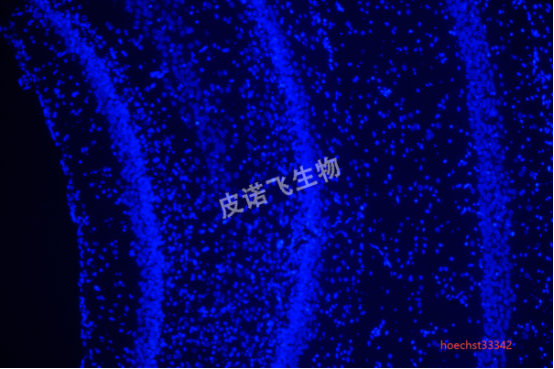 1758510333965976.png image.png