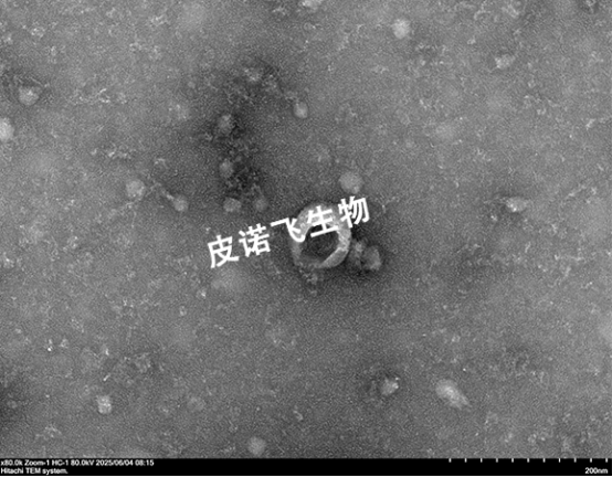 1758519307798895.png image.png