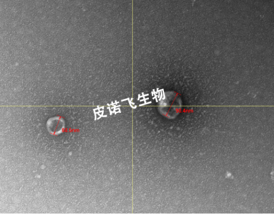 1758519311125312.png image.png