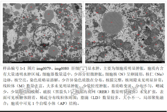 1758519534244469.png image.png