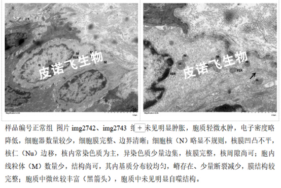 1758519558575390.png image.png