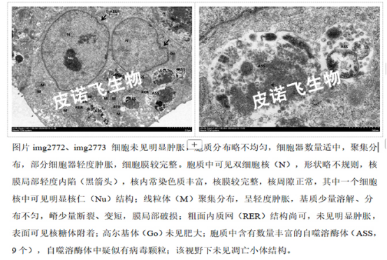 1758519562293818.png image.png