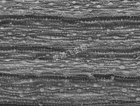 1758520064536310.png image.png