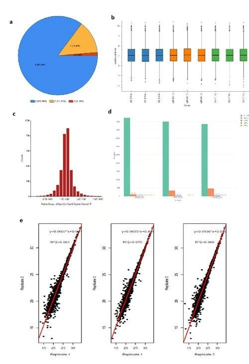 生物信息学分析
