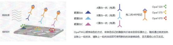 1758592228302307.png image.png