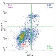 1758592842930460.png image.png