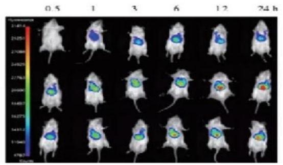 1758594037931397.png image.png