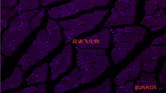 1761111971821514.png image.png