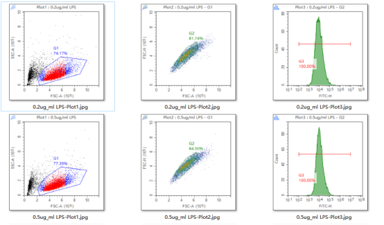 尼罗红染色（含荧光拍照）